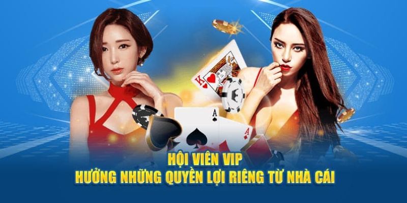 Đối tượng được tham gia chương trình hội viên vip 23win